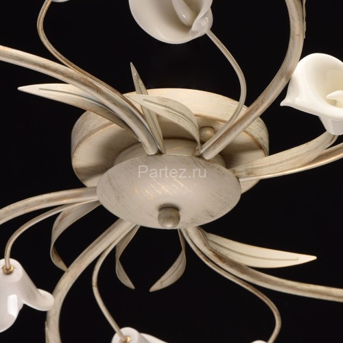 Потолочная люстра MW-Light 242016906