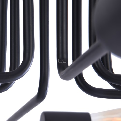 Потолочная люстра Maytoni T532CL-08B