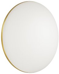 Настенно-потолочный светильник Sonex 3043/DL