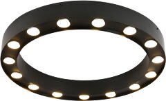 Потолочный светильник Favourite 3007-15U