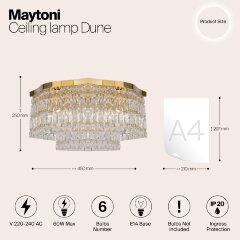 Потолочная люстра Maytoni DIA005CL-06G