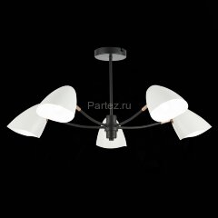 Потолочная люстра Evoluce SLE103602-05