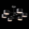 Потолочная люстра Evoluce SLE183402-06