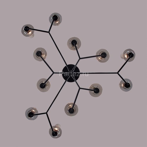 Потолочная люстра Lumion 6555/12C