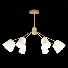 Потолочная люстра Evoluce SLE155902-08