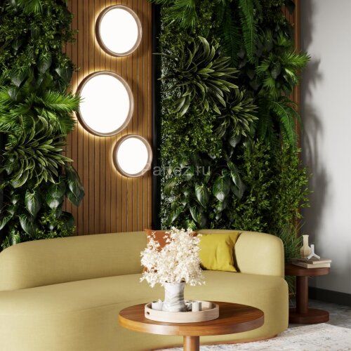 Настенно-потолочный светильник Sonex 7603/EL