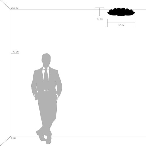 Потолочный светильник Lightstar 804020