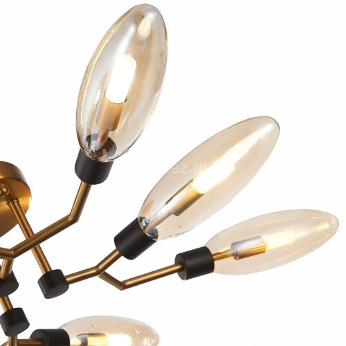 Потолочная люстра ST Luce SL1174.302.08