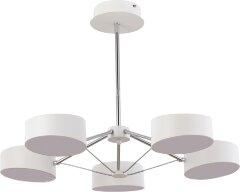 Потолочная люстра Evoluce SLE6005-502-05