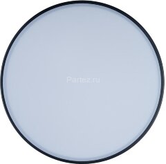 Потолочный светильник Loft It 10002/12 Black