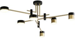 Потолочная люстра Favourite 4013-6P