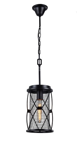 Подвесная люстра Favourite 1783-1P