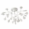 Потолочная люстра F-Promo 2479-9U
