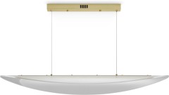 Подвесной светильник Freya FR5441PL-L40G