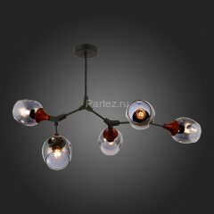 Потолочная люстра Evoluce SLE113402-05