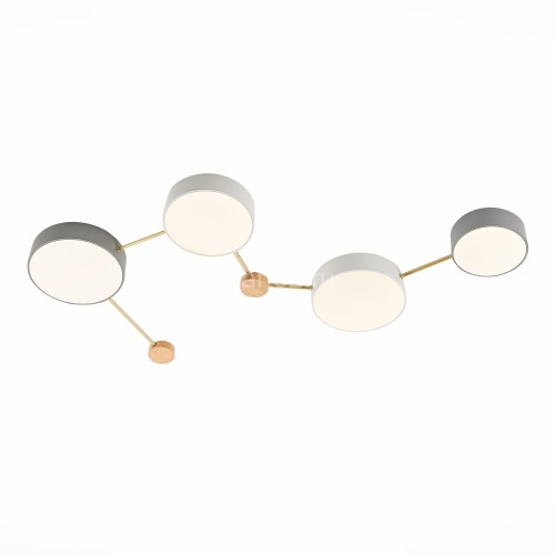 Потолочная люстра Evoluce SLE600102-04