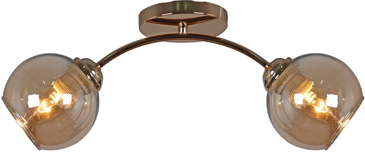 Потолочная люстра Reluce 01538-0.3-02 FGD