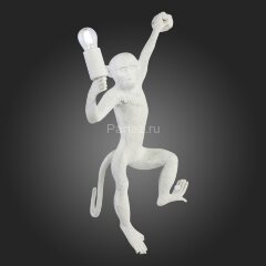 Бра Evoluce SLE115111-01