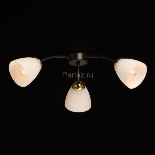 Потолочная люстра DeMarkt 676016903