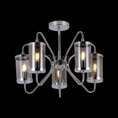 Потолочная люстра Evoluce SLE102302-05