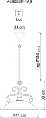 Подвесной светильник Arte Lamp A6905SP-1AB