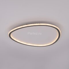 Потолочный светильник Citilux CL215B251E