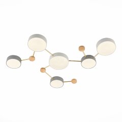 Потолочная люстра Evoluce SLE600102-06