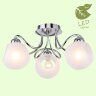 Потолочная люстра Lussole LGO GRLSP-8139