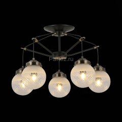 Потолочная люстра Evoluce SLE110302-05