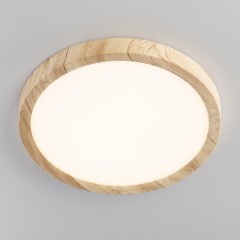 Настенно-потолочный светильник Citilux CL738182V