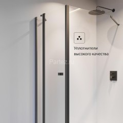 Душевая дверь Roca CAPITAL распашная 100х195, толщина полотна 6мм универсальная, цвет профиля черный