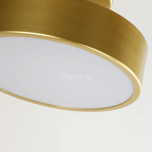 Потолочный светильник F-Promo 3059-2P