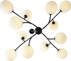 Потолочная люстра Zortes ZRS.1178.12