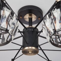 Потолочная люстра Eurosvet 70075/8 черный