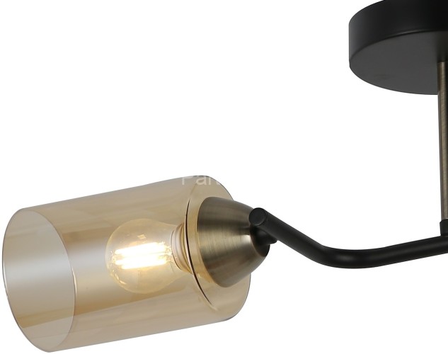 Потолочная люстра ILLUMICO IL8148-2COU-79 BK BR Bice