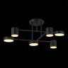 Потолочная люстра Evoluce SLE201042-06