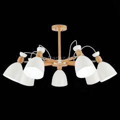 Потолочная люстра Evoluce SLE103802-07