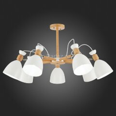 Потолочная люстра Evoluce SLE103802-07