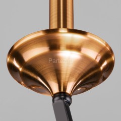 Подвесная люстра Eurosvet 60098/5 черный