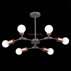 Потолочная люстра Evoluce SLE106403-06