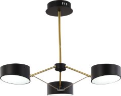 Потолочная люстра Evoluce SLE6005-402-03