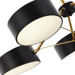 Потолочная люстра Evoluce SLE6005-402-03