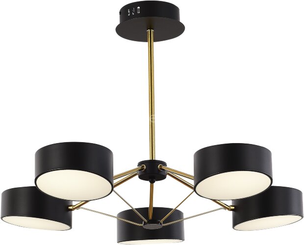 Потолочная люстра Evoluce SLE6005-402-05