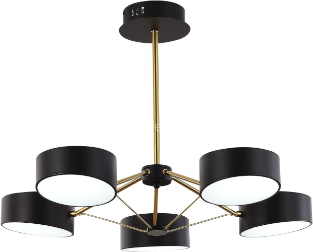 Потолочная люстра Evoluce SLE6005-402-05