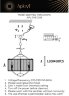 Подвесная люстра Aployt APL.746.13.05